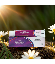Cantharis Ointment