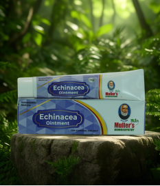 Echinacea Ointment